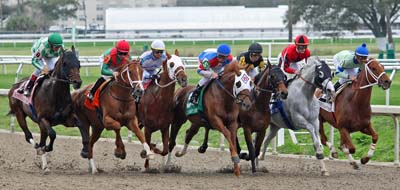 Fair Grounds Fair Grounds