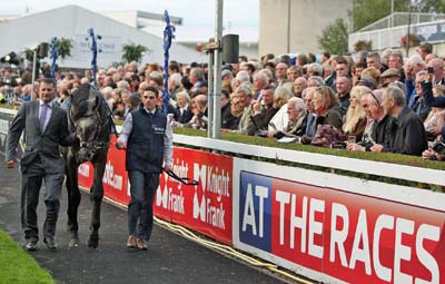 Roaring Lion at Leopardstown, Ireland Roaring Lion at Leopardstown, Ireland