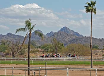 Turf Paradise in Phoenix Turf Paradise in Phoenix