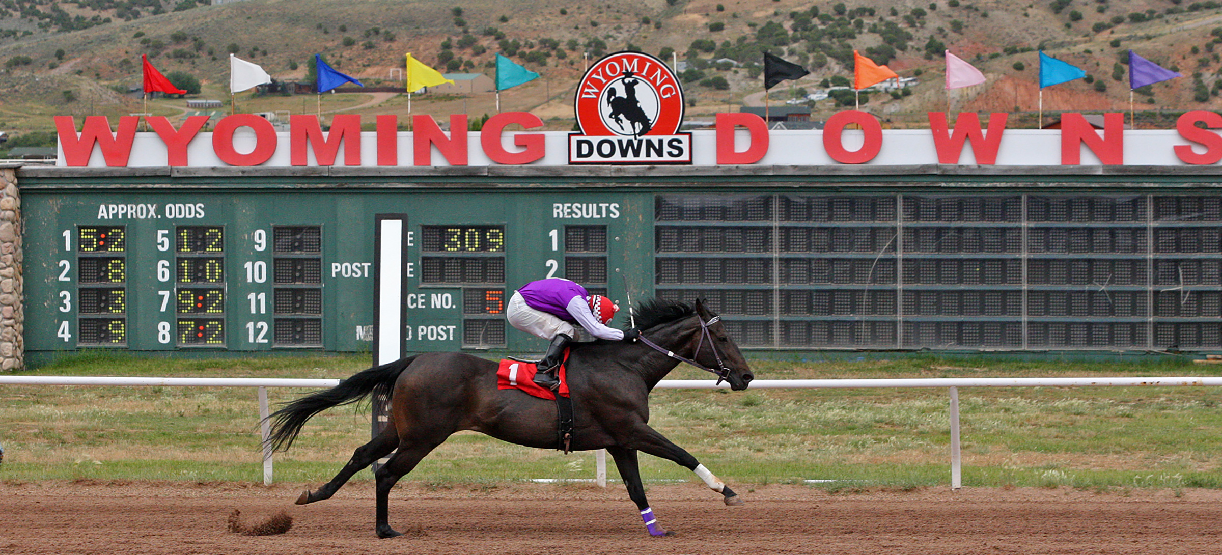Wyoming Downs Wyoming Downs