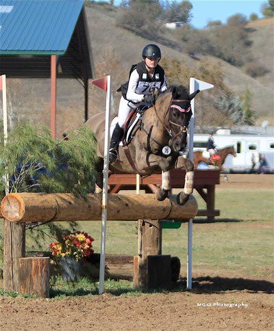 Photo courtesy of the Canadian Horse Breeders Association Photo courtesy of the Canadian Horse Breeders Association