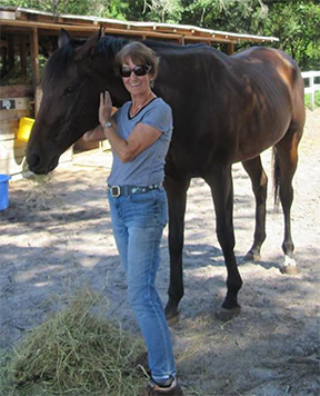 Carol Burnell and M&M Equestrian Inc. Tampa, FL Carol Burnell and M&M Equestrian Inc. Tampa, FL