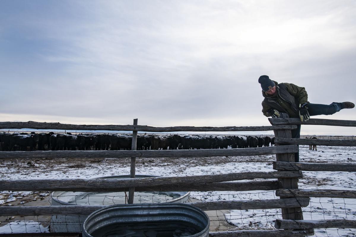 Hana Francher climbs over the pasture fence after cracking the ice on the water trough at the farm in Saguache on Sunday, Nov. 11, 2018. (Photo by Kelsey Brunner/The Gazette) Equine Info Exchange