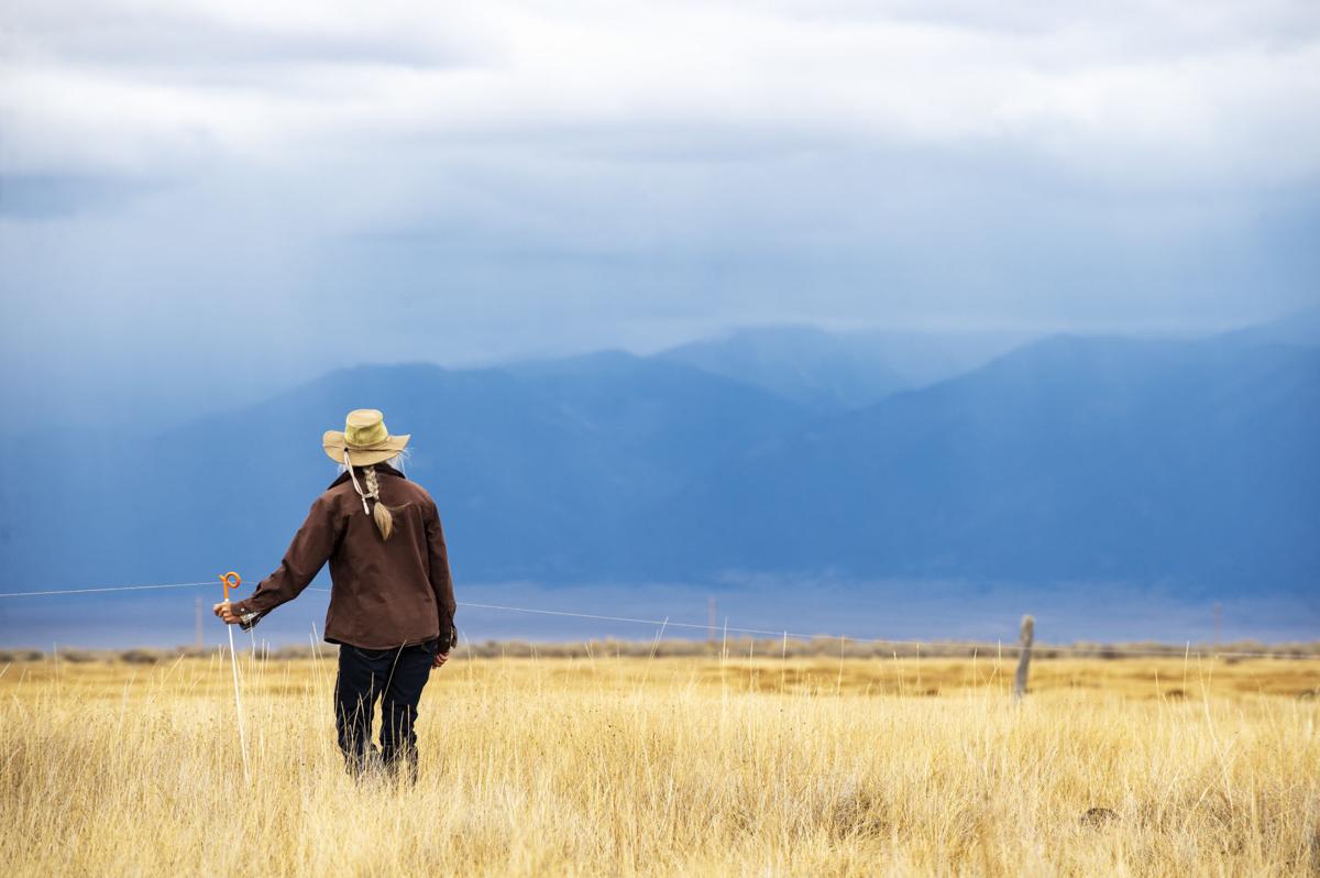 Julie Sullivan holds a fence line while adjusting the pasture boundaries at San Juan Ranch on Tuesday, Oct. 23, 2018. San Juan Ranch practices sustainable farming and moves the pasture line in sections every day to keep the meadow healthy. This method also forces the cows to eat all of the grass, not just their favorite varieties. (Photo by Kelsey Brunner/The Gazette) Equine Info Exchange