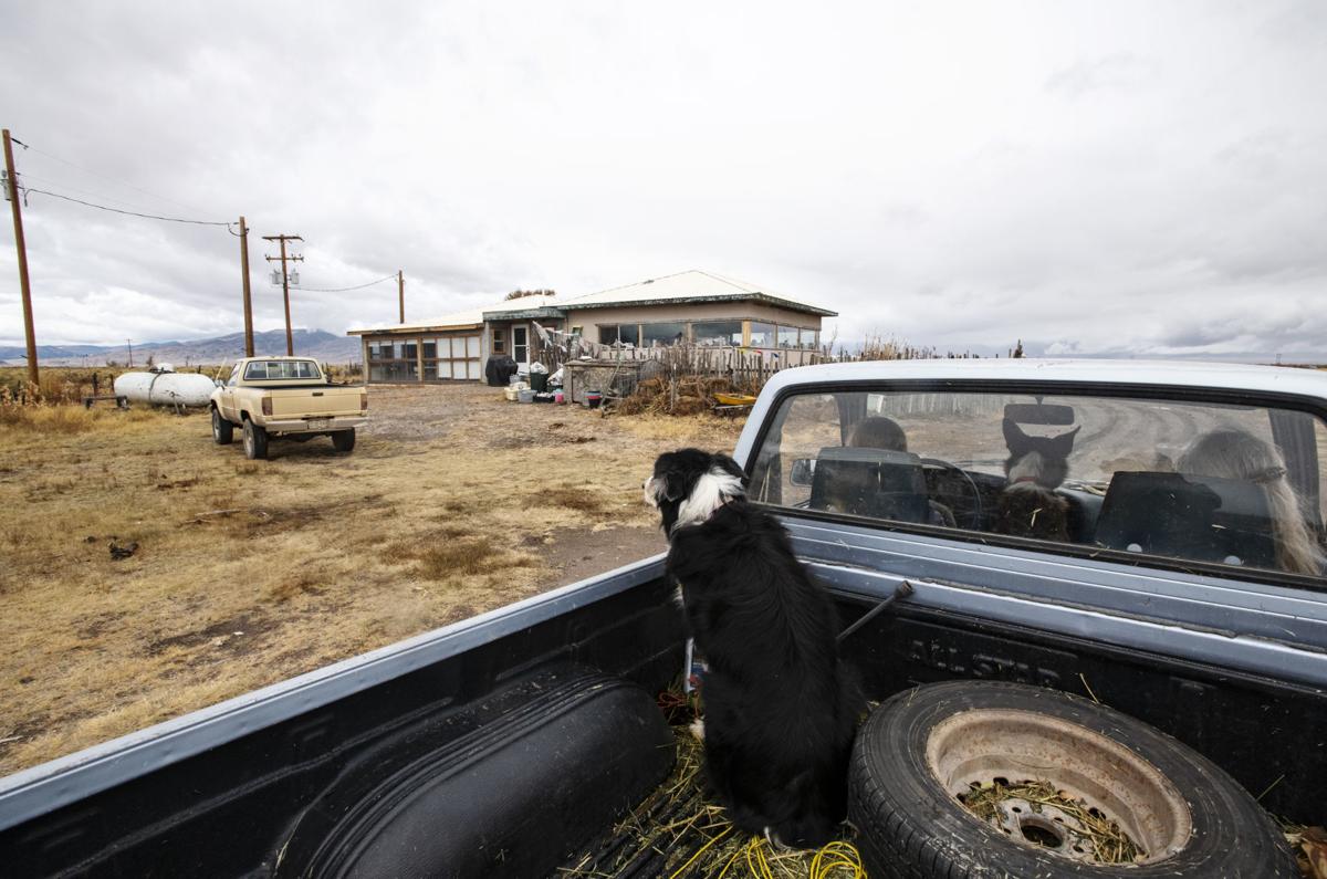 Hana Fancher, left, and Julie Sullivan ride in the cab of a truck with Newt in between while Zeke looks at home from the truck bed . photos by Kelsey Brunner, the gazette/ Equine Info Exchange