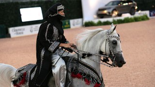 The Rolex Central Park Horse Show Crowns U.S. Open Arabian Champions On First Evening of 2017 Competition The Rolex Central Park Horse Show Crowns U.S. Open Arabian Champions On First Evening of 2017 Competition