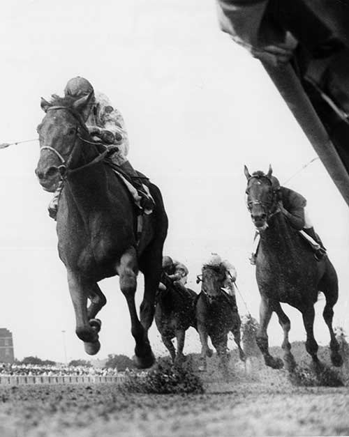 Damascus defeats Dr. Fager in the Brooklyn. (Bob Coglianese) Damascus defeats Dr. Fager in the Brooklyn. (Bob Coglianese)
