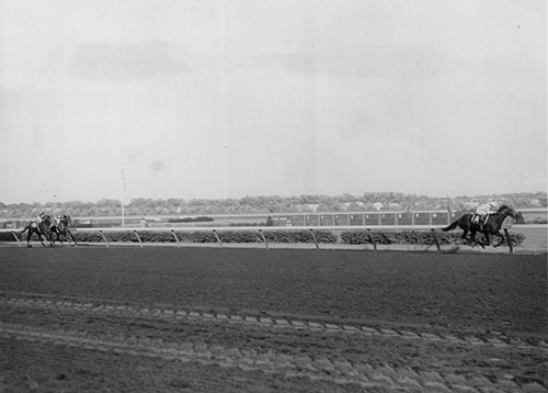 Damascus dominates the 1967 Woodward Stakes. (Mike Sirico) Damascus dominates the 1967 Woodward Stakes. (Mike Sirico)
