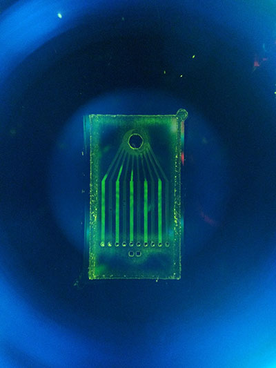 Pathtracker's Microfluidic chip Pathtracker's Microfluidic chip