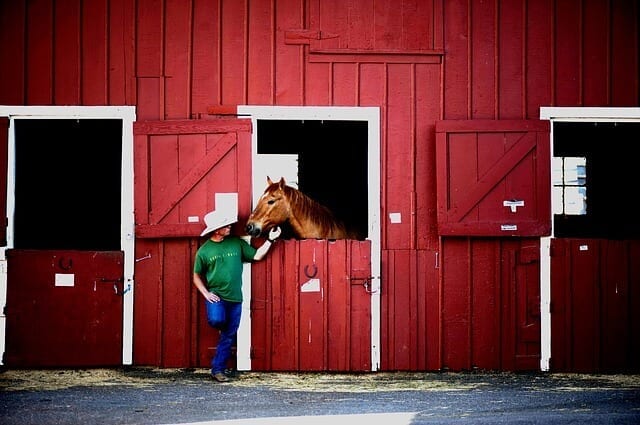 Study Suggests An ‘Emotional Transfer’ Between Humans & Horses Study Suggests An ‘Emotional Transfer’ Between Humans & Horses