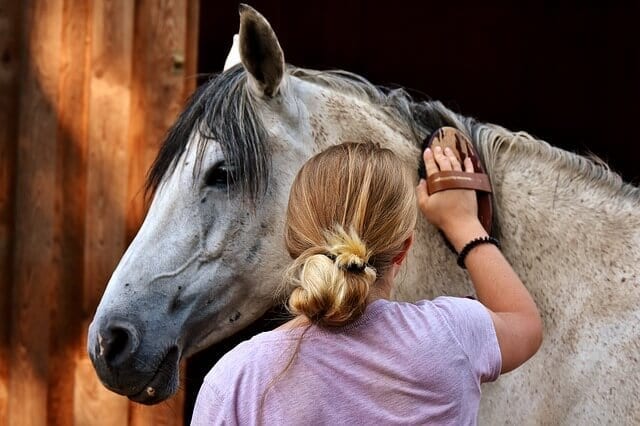 Study Suggests An ‘Emotional Transfer’ Between Humans & Horses Study Suggests An ‘Emotional Transfer’ Between Humans & Horses