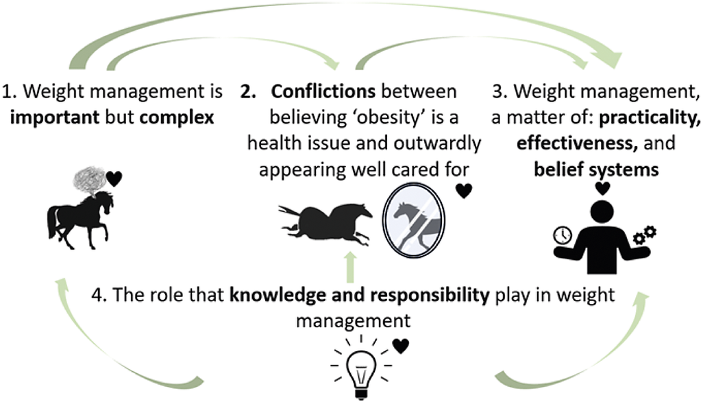 Equine Guelph Weight Study