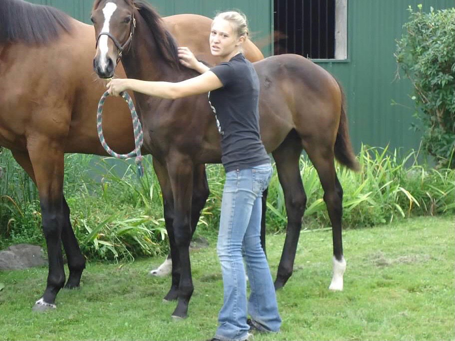 Eye Luv Lulu as a Foal Eye Luv Lulu as a Foal