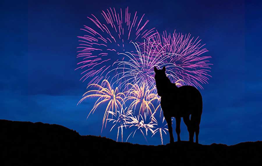Maintain Your Horse’s Safety This Fourth of July