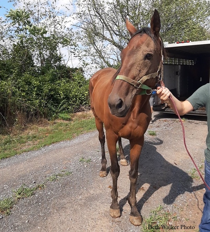 Canora after her rescue Canora after her rescue