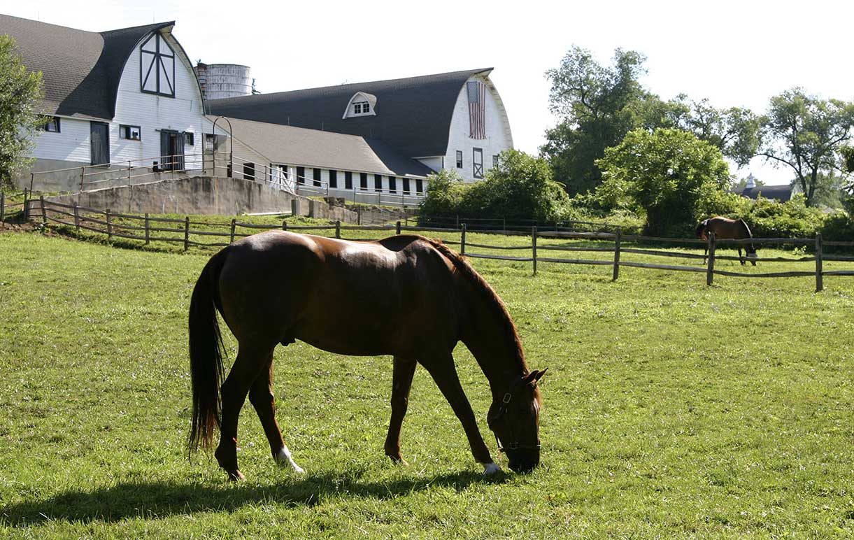 Equine Info Exchange
