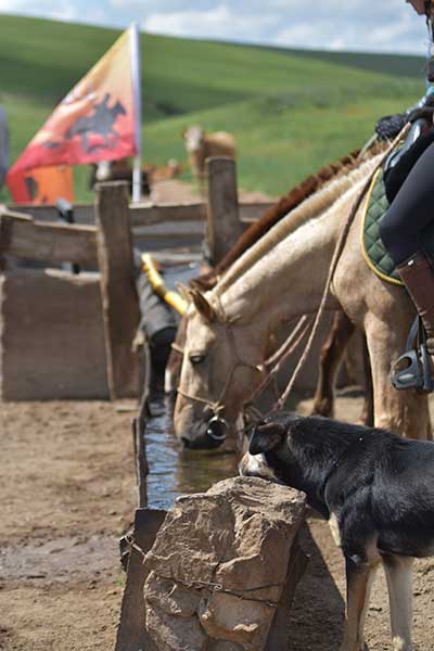 Multiple checkpoints are set throughout the course for horses and riders. © Gobi Desert Cup Multiple checkpoints are set throughout the course for horses and riders. © Gobi Desert Cup