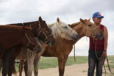Gobi Gallup 2018 Gobi Gallup 2018