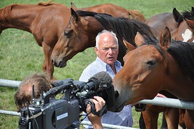 Wiepke van de Lageweg, Breeder Wiepke van de Lageweg, Breeder