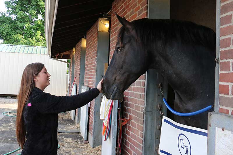 Harley visiting with a friend. (Julie June Stewart photo) Harley visiting with a friend. (Julie June Stewart photo)