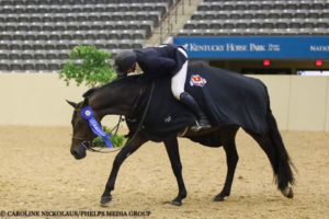 Geoffrey took home the 2016 win in the Hallway Feeds USHJA National Hunter Derby series at the Kentucky Horse Park and was also awarded the $10,000 Hallway Feeds Leading Professional Rider Award. Photo Credit: Phelps Media Group. Geoffrey took home the 2016 win in the Hallway Feeds USHJA National Hunter Derby series at the Kentucky Horse Park and was also awarded the $10,000 Hallway Feeds Leading Professional Rider Award. Photo Credit: Phelps Media Group.