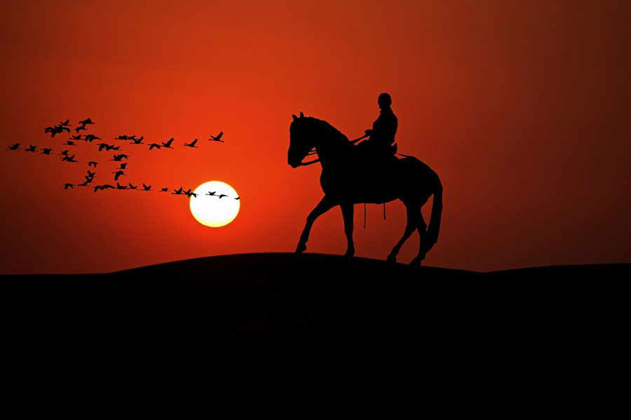Riding Holidays - Photo by Unknown / Public Domain