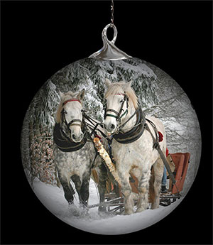 Holiday Treats for your Horses!