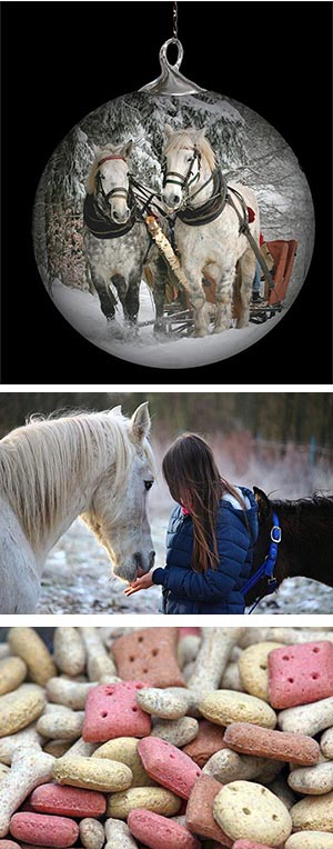 Holiday Treats for your Horses!
