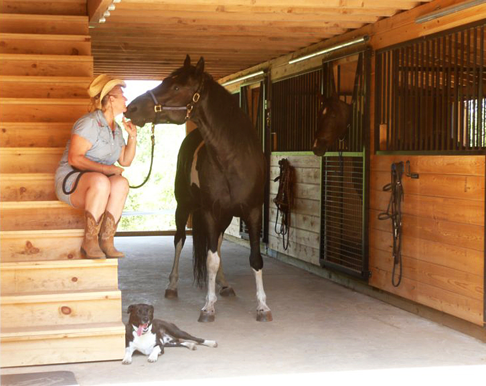 Horizon Structures - Horse Barns Horizon Structures - Horse Barns