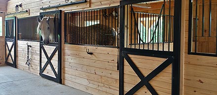 Horizon Structures - Horse Barns Horizon Structures - Horse Barns