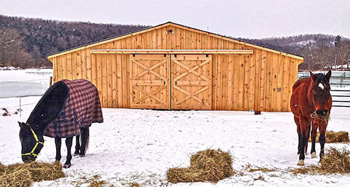 36x52 Low Profile Barn: (4)12x14 Stalls, (2) 12x12 Stalls, Wash Bay & Tack Room 36x52 Low Profile Barn: (4)12x14 Stalls, (2) 12x12 Stalls, Wash Bay & Tack Room
