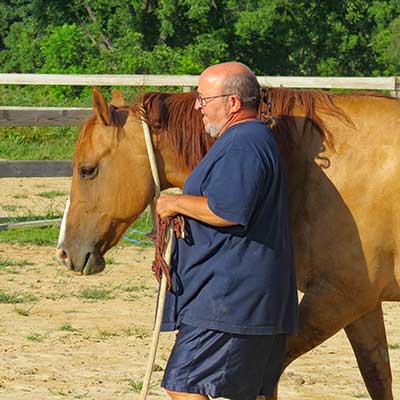 The Horse Cure, Horse and Rider Books The Horse Cure, Horse and Rider Books