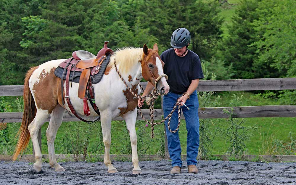 The Horse Cure, Horse and Rider Books The Horse Cure, Horse and Rider Books