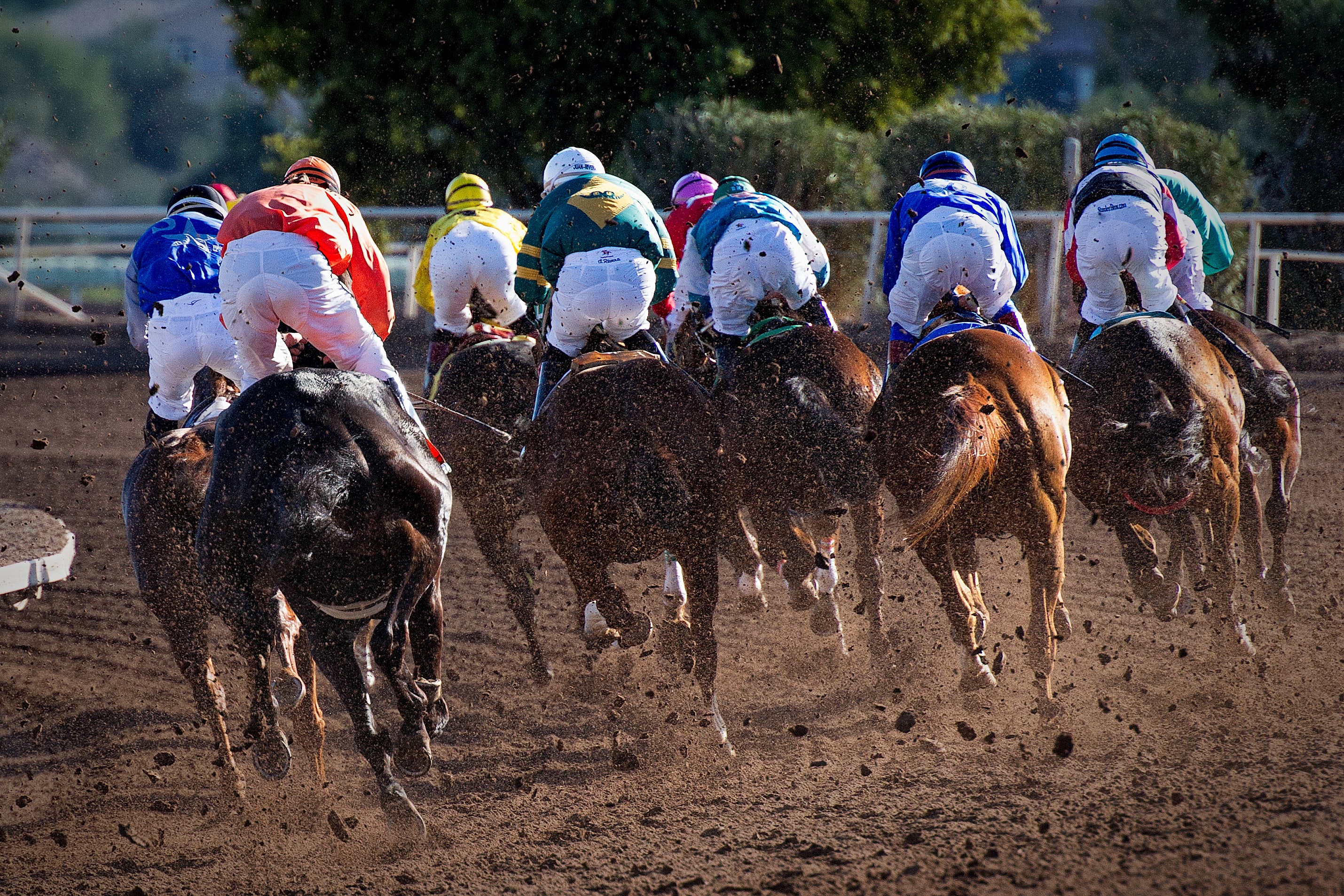 Photo by Gene Devine on Unsplash Photo by Gene Devine on Unsplash