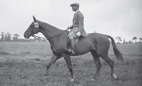 Felix Bürkner on Fortunas, 1932. A Grand Prix dressage horse should be this relaxed when riding outside of the arena. Felix Bürkner on Fortunas, 1932. A Grand Prix dressage horse should be this relaxed when riding outside of the arena.