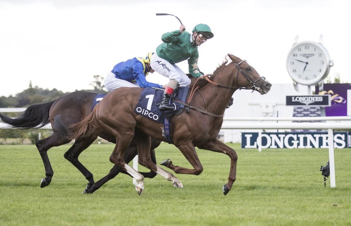 RP Bloodstock via Twitter RP Bloodstock via Twitter