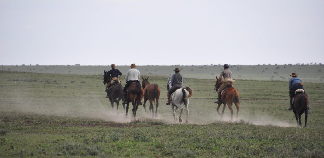 Serengeti Migration ride, Tanzania Serengeti Migration ride, Tanzania