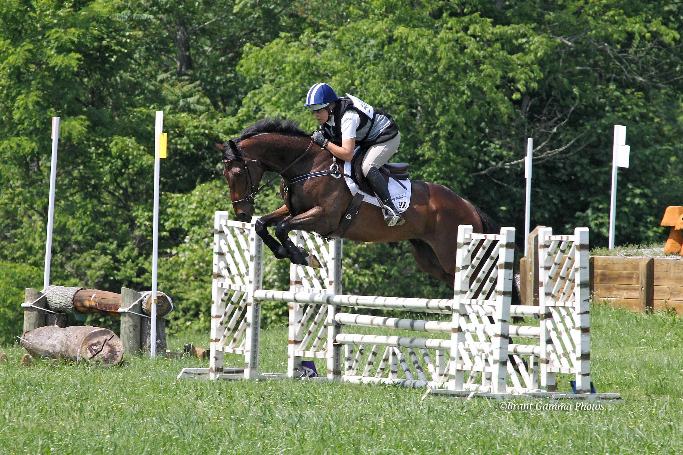 OTTB Parker's Choice (Courtesy Xpress Foto/Joanie Morris) OTTB Parker's Choice (Courtesy Xpress Foto/Joanie Morris)