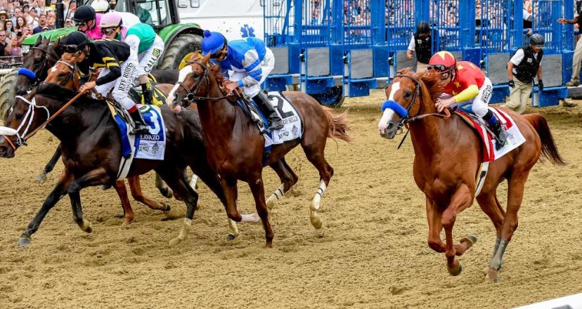Horses after leaving the Belmont Starting gate. (Eclipse Sportswire) Horses after leaving the Belmont Starting gate. (Eclipse Sportswire)