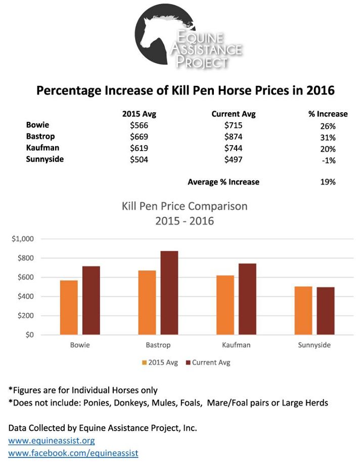 Increase of Kill Pen Horse Prices, graphic courtesy of Equine Assistance Project Increase of Kill Pen Horse Prices, graphic courtesy of Equine Assistance Project