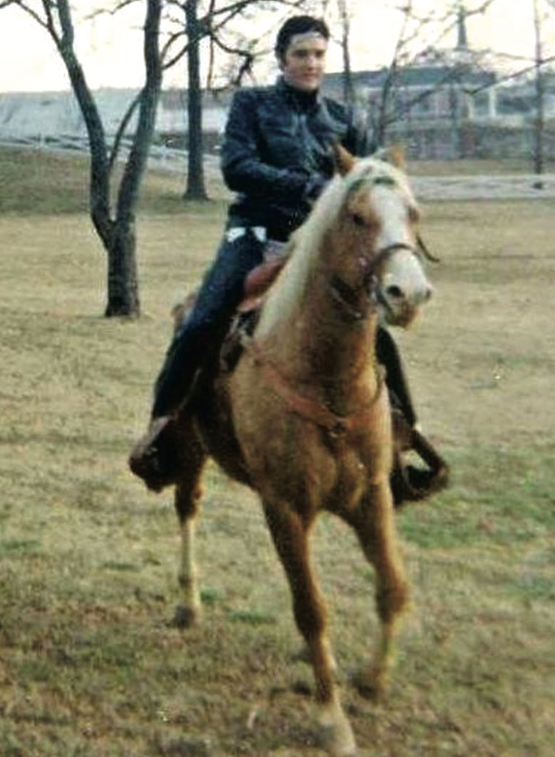 Elvis on his favorite horse, the Palomino Rising Sun. Photo credit:Judy Palmer Bendewald Elvis on his favorite horse, the Palomino Rising Sun. Photo credit:Judy Palmer Bendewald