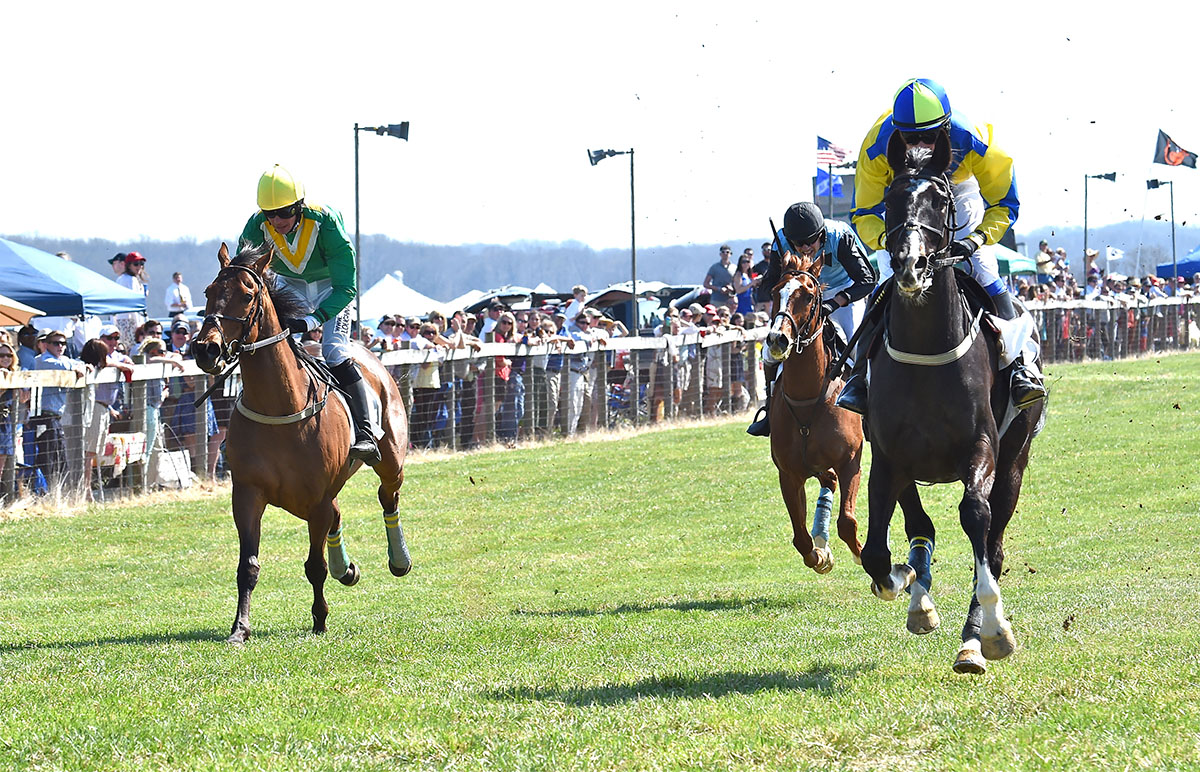 Irish Thoroughbred Ebanour ridden by Gustav Dahl, left, about to take the lead, courtesy of Ladew Topiary Gardens Ebanour, left, about to take the lead, courtesy of Ladew Topiary Gardens