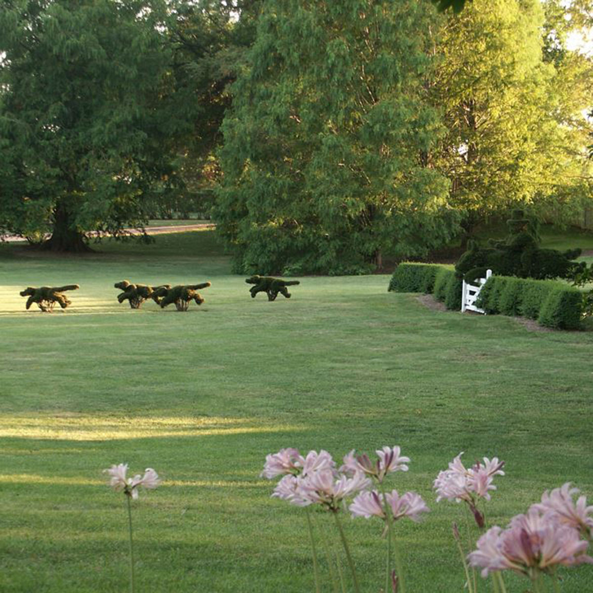 Topiary hunt scene, courtesy of Ladew Topiary Gardens Topiary hunt scene, courtesy of Ladew Topiary Gardens