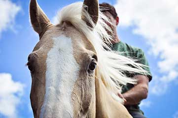 Land of the Horses Land of the Horses