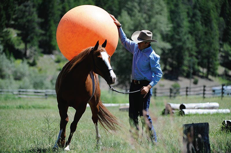 The Art of Liberty Training for Horses by Jonathan Field The Art of Liberty Training for Horses by Jonathan Field