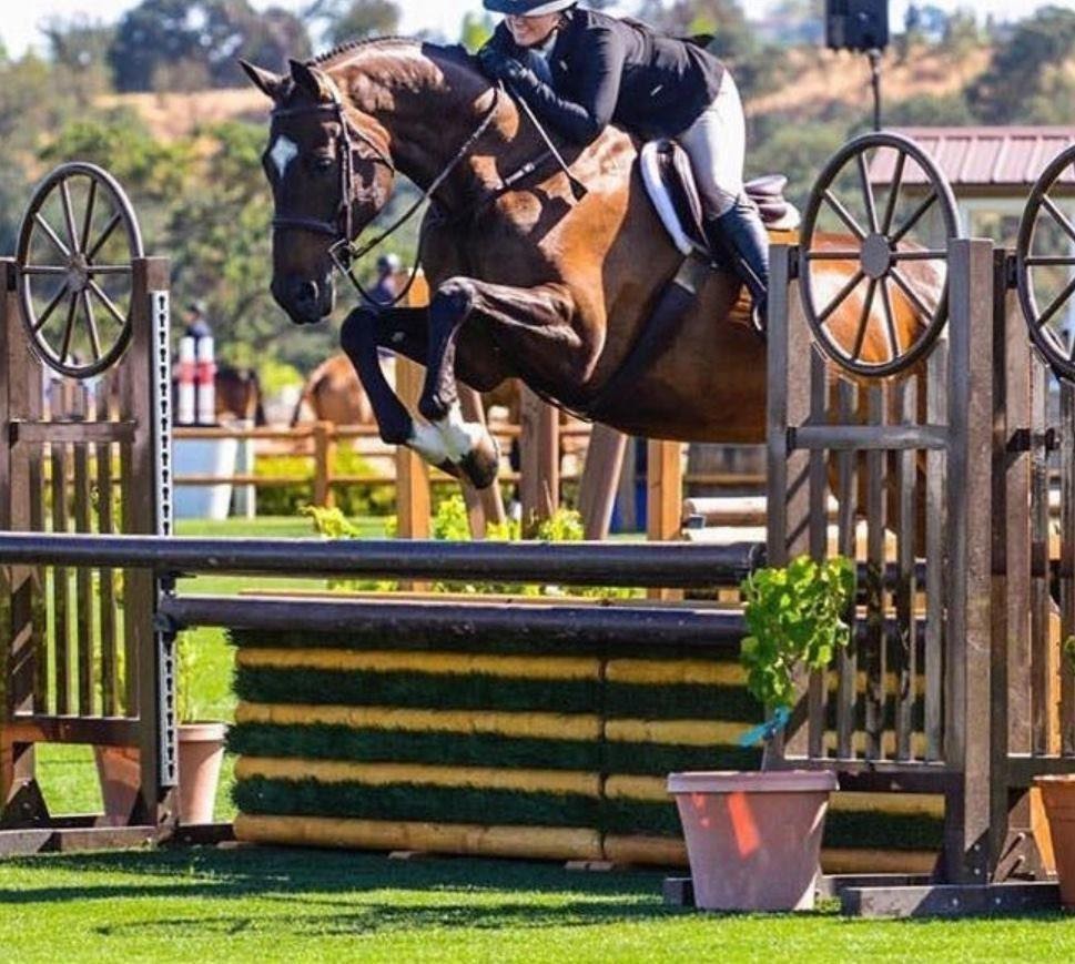 Corduroy. Photo courtesy of Lori Johnston Corduroy. Photo courtesy of Lori Johnston