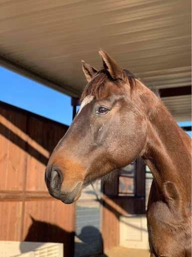 George in retirement. Photo courtesy of Lori Johnston George in retirement. Photo courtesy of Lori Johnston
