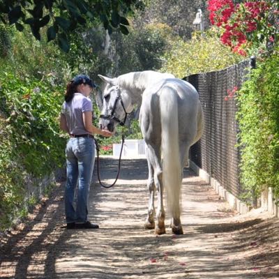 Liv Gude, ProEquine Grooms Liv Gude, ProEquine Grooms