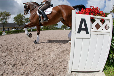 Arena Footing Basics 101 - Martin Collins USA Arena Footing Basics 101 - Martin Collins USA