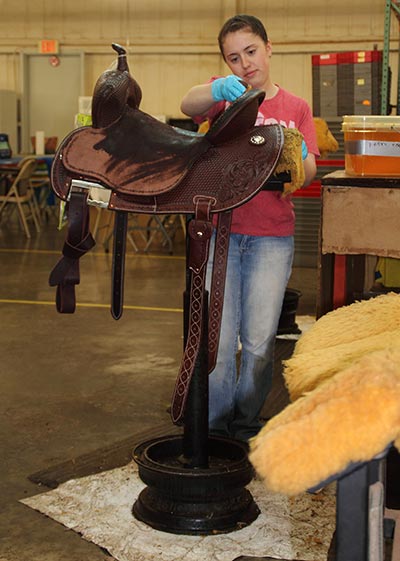 Martin Saddlery Martin Saddlery